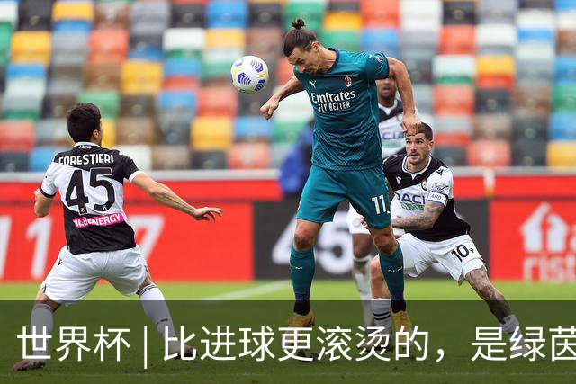 世界杯 | 比进球更滚烫的，是绿茵场上的爱